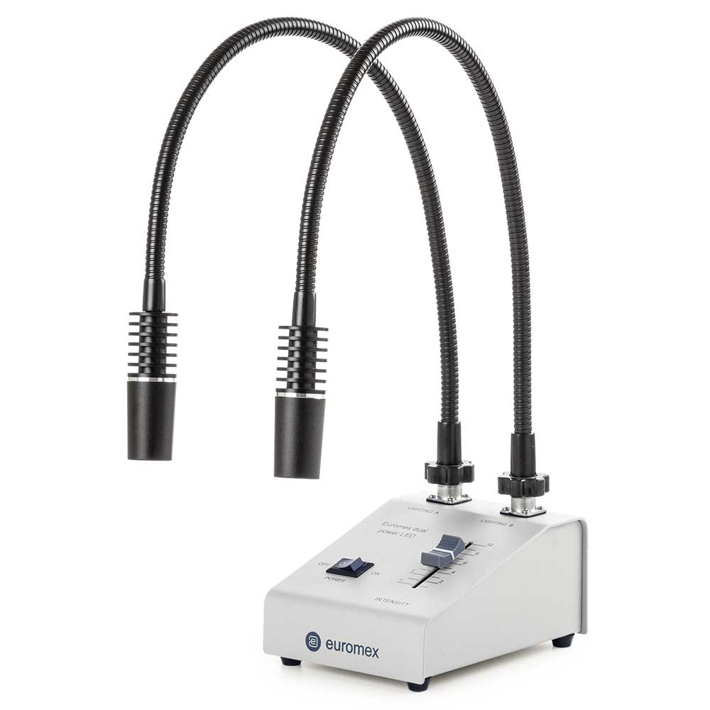 Globe Scientific Euromex Dual LED illuminator Microscope;light;LED;Dual;